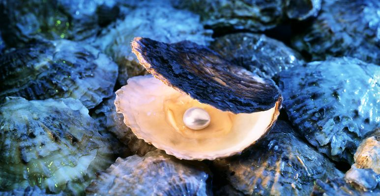 How Are Pearls Made?