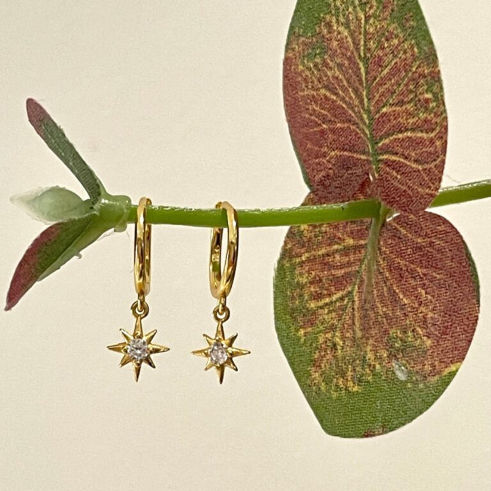 Gold-CZ-Star-Charm-Huggie-in-flowers