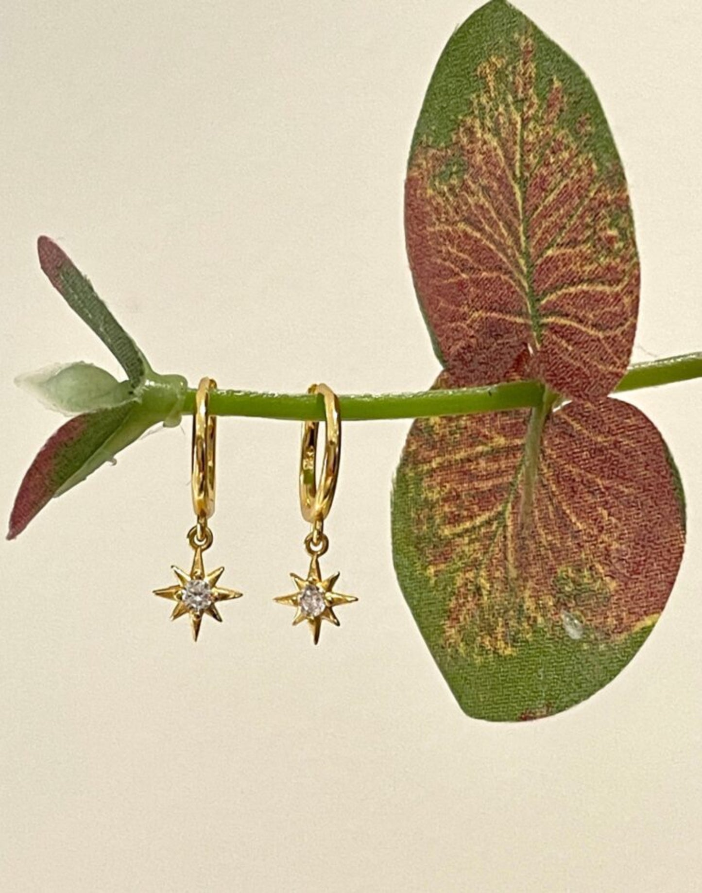 Gold-CZ-Star-Charm-Huggie-in-flowers