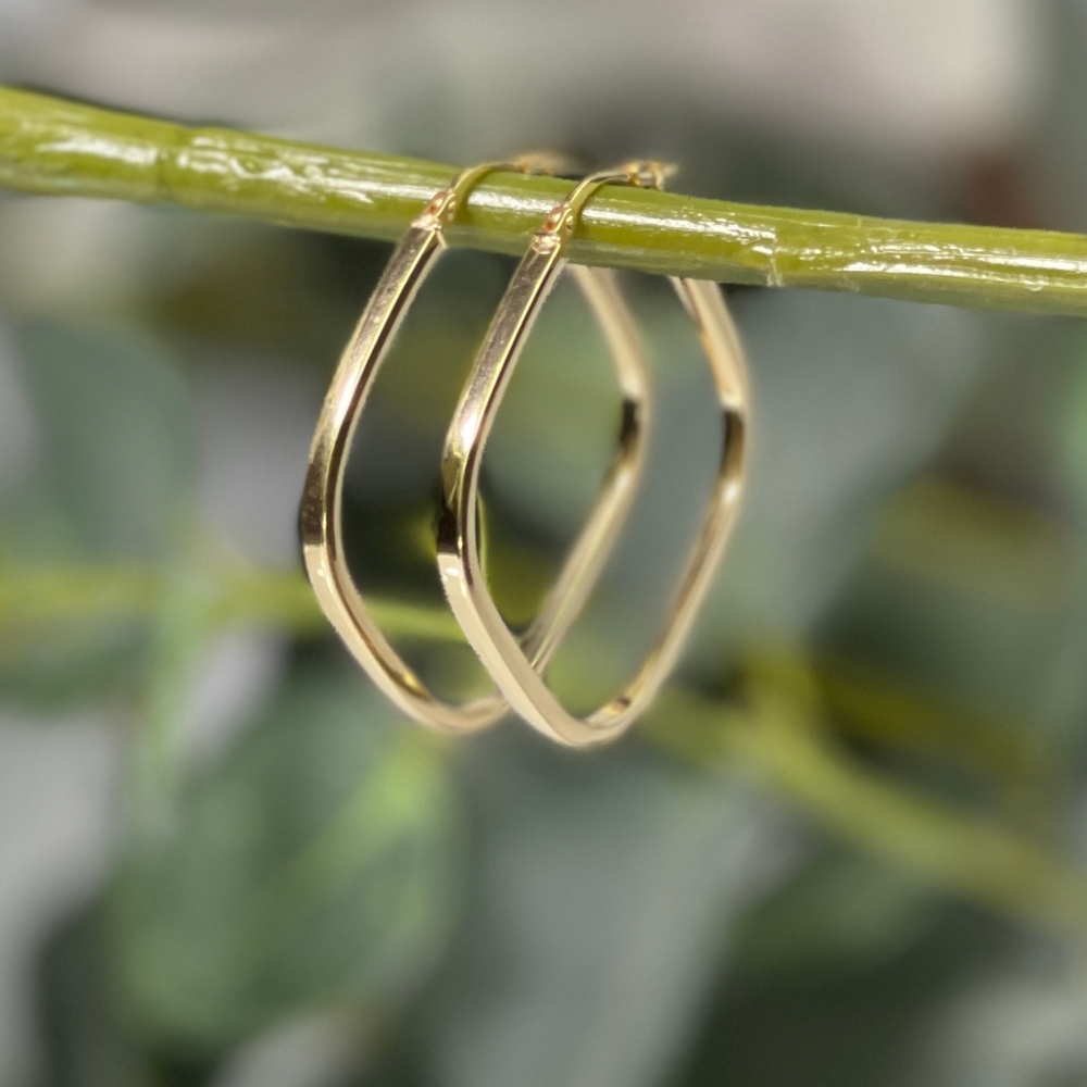 Gold Square hoop earrings hanging on branch