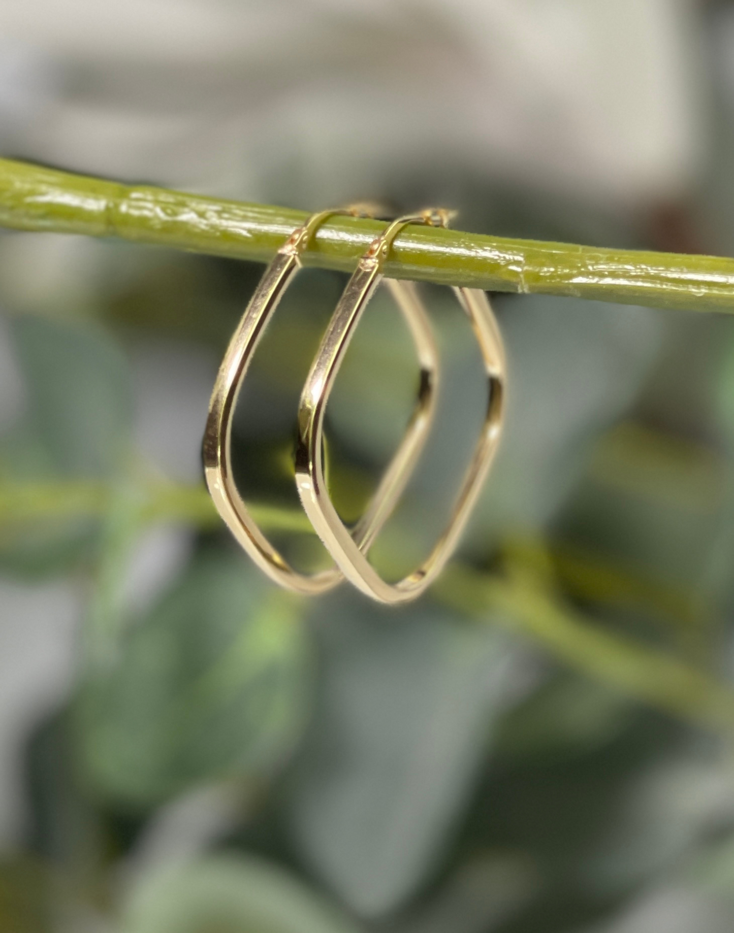 Gold Square hoop earrings hanging on branch