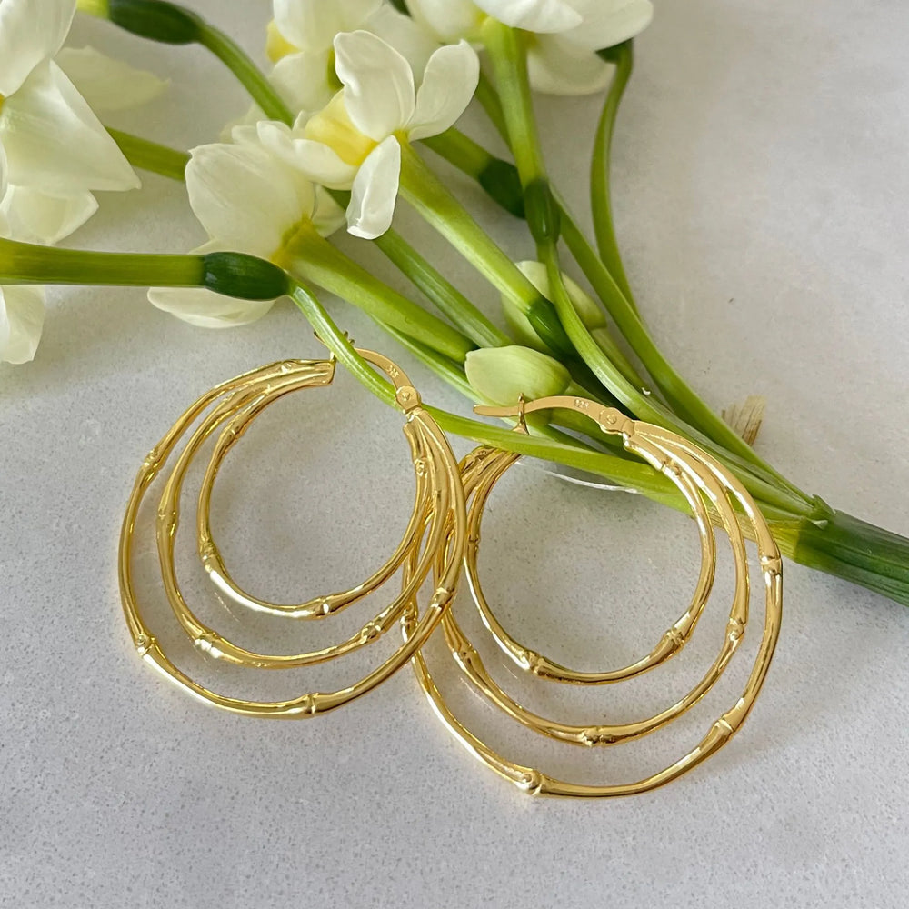 
                  
                    Gold multi Circle Hoop earrings
                  
                