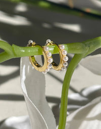 June Birthstone Gold Huggie Earrings on flower