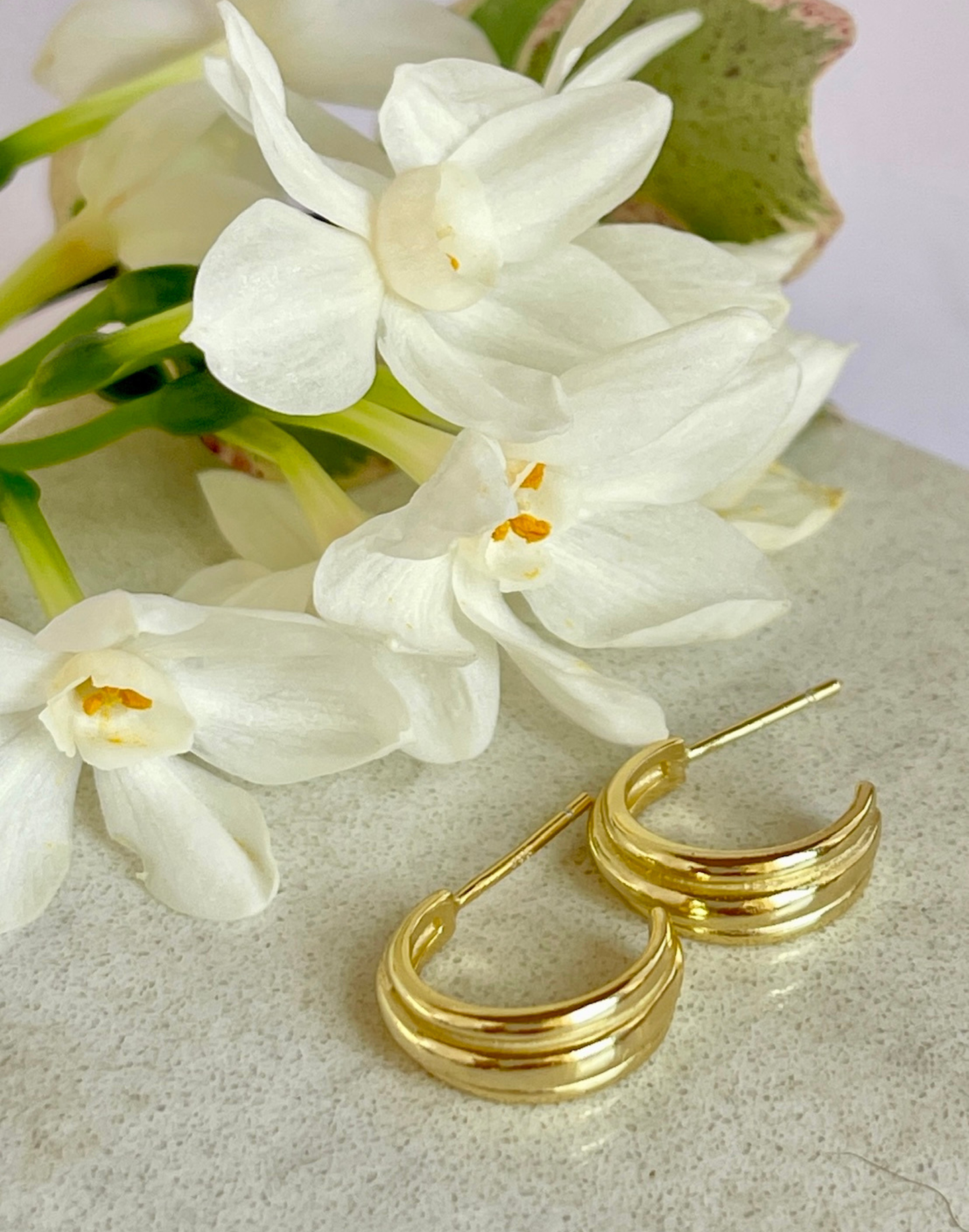 Olivia small gold hoop earrings