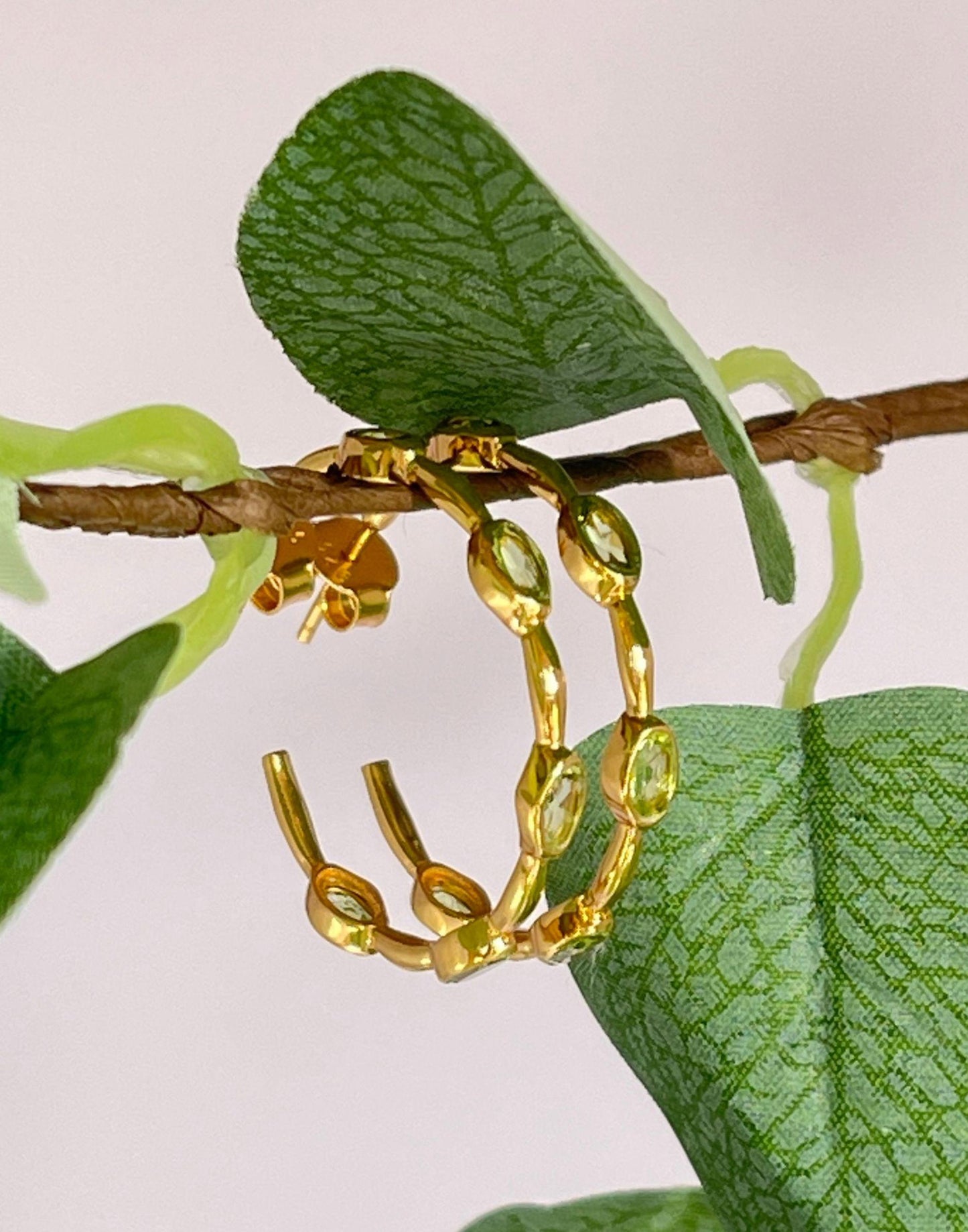 peridot gold hoop earrings on a branch