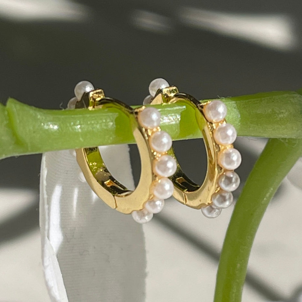 Pearl and gold huggie earrings displayed on a branch