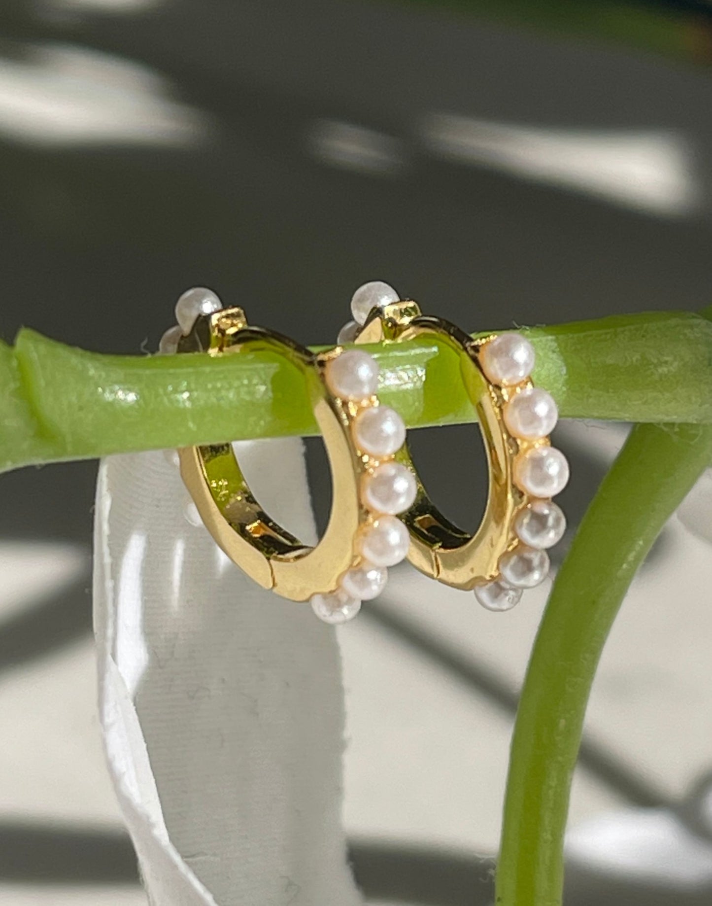Pearl and gold huggie earrings displayed on a branch