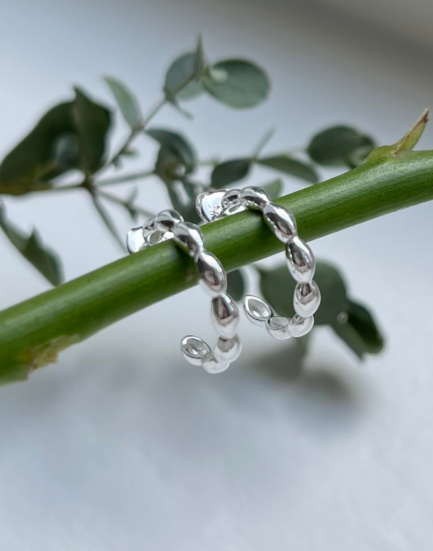 silver seed hoops