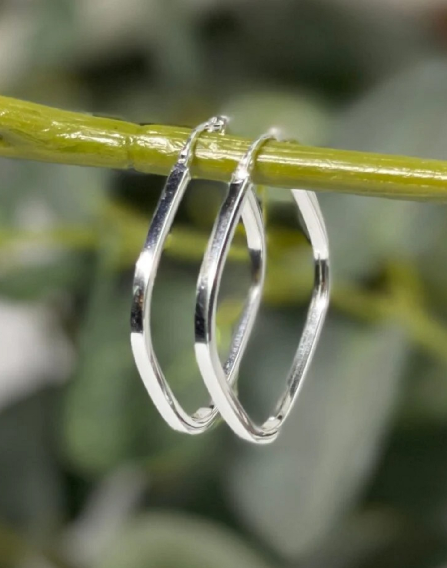 silver square hoop earrings on branch