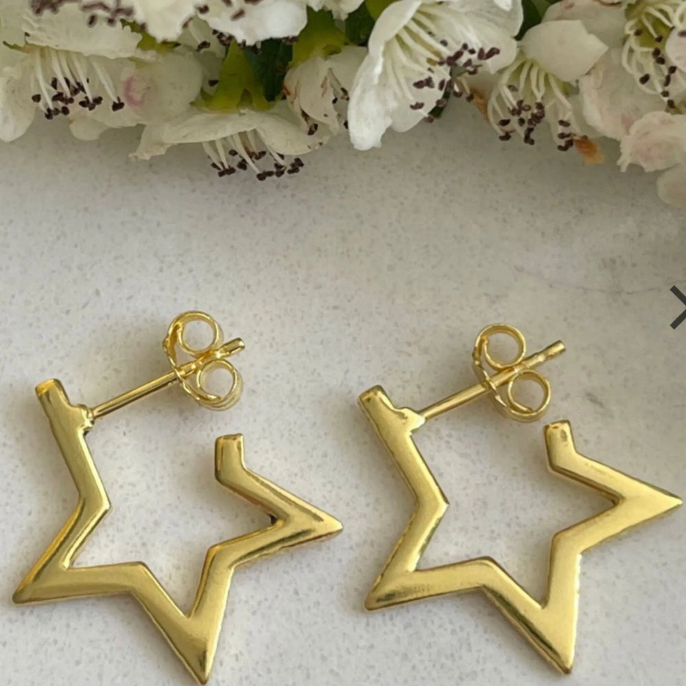 
                  
                    gold star hoop closer up with flowers
                  
                