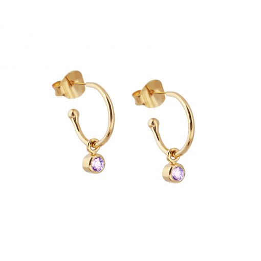 February Birthstone Amethyst Gold Earrings